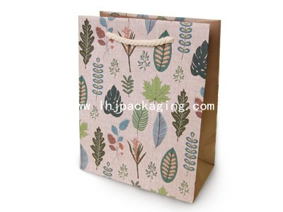 Paper bag,luxury wine bag, wine paper bag, paper wine bag