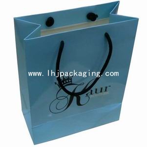 shoping gift  bag,gift shopping bag, luxury gift bag