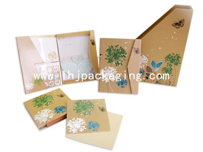 file folder ,binder